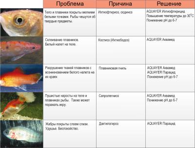 lecheniye-ryb-v-aquariume.jpg