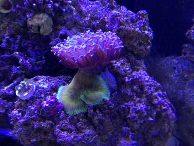 IMG_1508.JPG