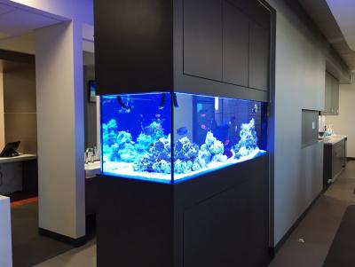 Scape8.jpg