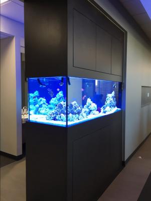 Scape9.JPG