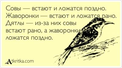atkritka_1317474241_19.jpg