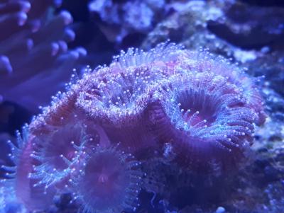 20180122_140913.jpg