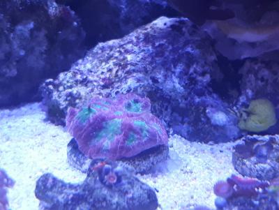 20180122_140215.jpg