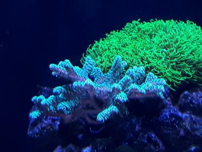 20171021_143756.jpg