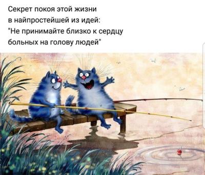 копия.jpg