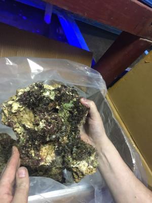 IMG-20180118-WA0007.jpg