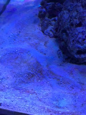 Image1516464080.892347.jpg