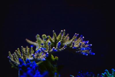 _MG_7494.JPG