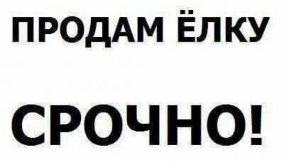 IMG-20190101-WA0015.jpg