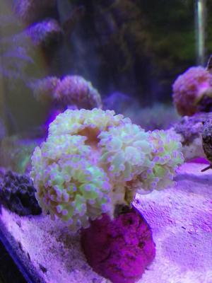 IMG_20190122_105059.jpg
