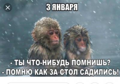 12350a1c-b08c-40b5-aca4-5ab65efa779f.jpg