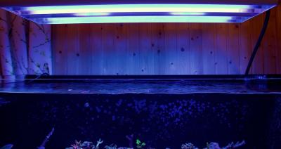 IMG_8455.jpeg