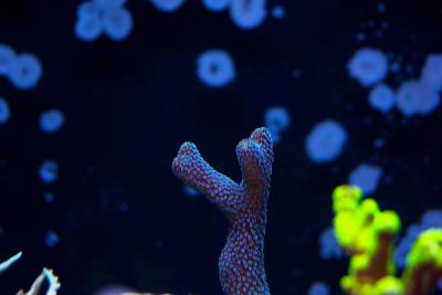 IMG_8621.JPG