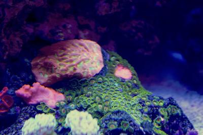 IMG_8451.jpeg