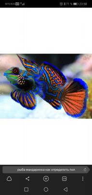 Screenshot_20200113_235825_com.yandex.browser.jpg