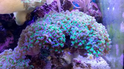 IMG_20200103_161625.jpg