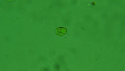 366B2582-F020-4DD3-9ADB-D4EDE183F5E2.jpeg