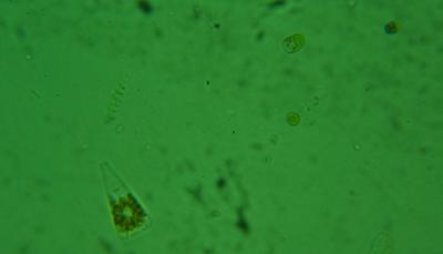 DB3C2B9E-3381-4DE6-BB04-372AFB54E468.jpeg