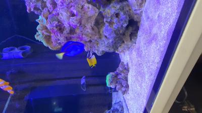 IMG-20210114-WA0016.jpeg