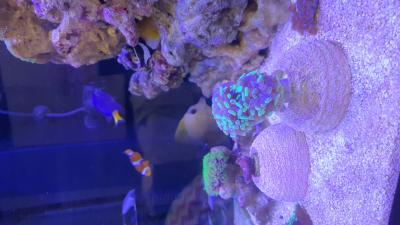 IMG-20210116-WA0003.jpeg