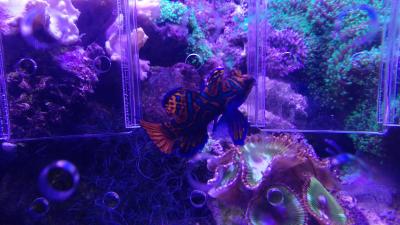 IMG_20210129_104436.jpg