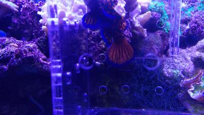IMG_20210129_104456.jpg