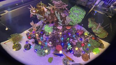 1ED70A1D-1D75-4836-B15C-5952DD0D67C6.jpeg