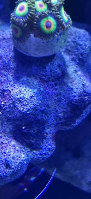 IMG_20220131_185942.jpg