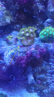 IMG-20220106-WA0002.jpeg