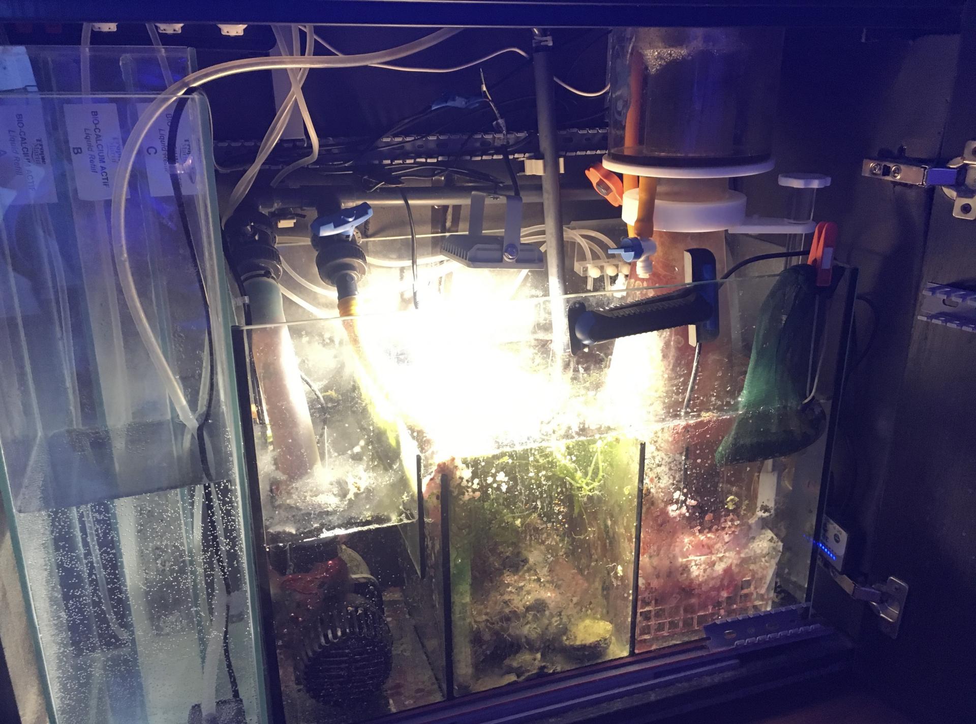 аквариумная барахолка