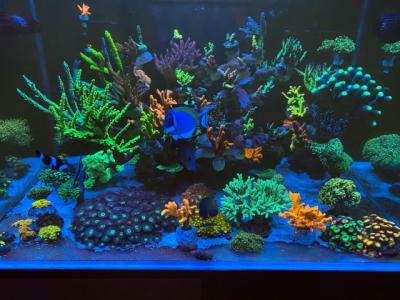 Image1673197275.568017.jpg
