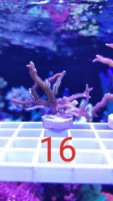 IMG_20240126_004735.jpg