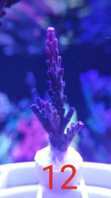 IMG_20240126_004642.jpg