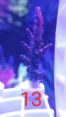 IMG_20240126_004657.jpg
