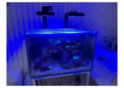 CB00F3B6-0900-44A7-B7F0-BCBC43128A89 (перетянутый) 12.jpg