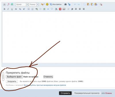 Без имени-1.jpg