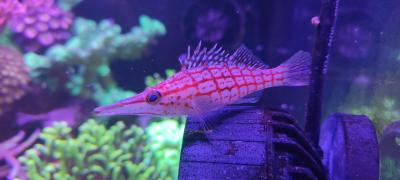 2026-01-12 20-03-36.JPG