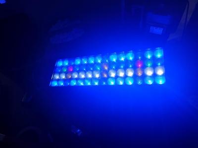 20260130_144651.JPG