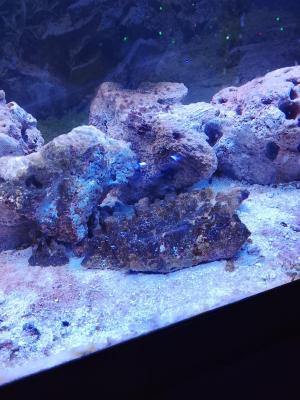 IMG_20260122_170722.jpg