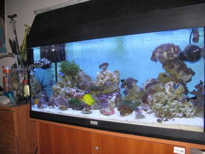 морской аквариум 062.jpg