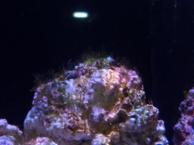 P1030554.JPG