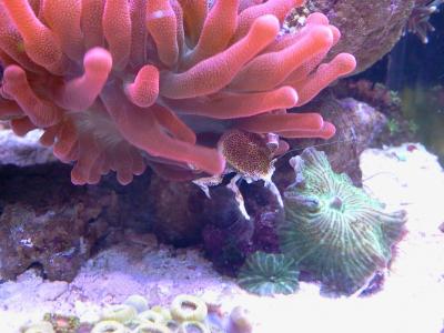 2014-02-17 10.51.19.jpg