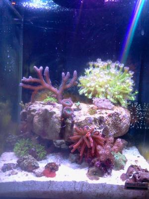 2014-02-16 12.37.31.jpg