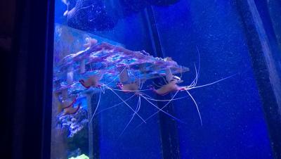 WP_20150207_21_20_47_Pro.jpg