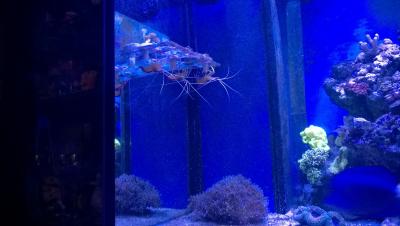WP_20150207_21_20_53_Pro.jpg