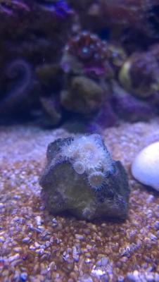 WP_20150203_14_33_38_Pro.jpg