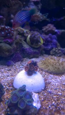 WP_20150203_14_33_51_Pro.jpg