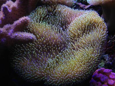 IMG_4418.JPG