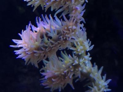 IMG_4446.JPG