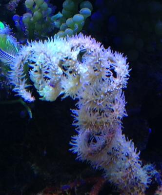 IMG_4489.JPG